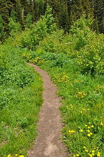 Lake Stuart-27.jpg