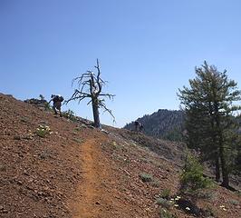 Hikers on Koppen Mt trail