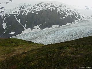 Exit Glacier, seward (2)