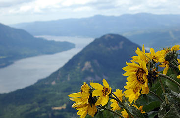 May - Columbia River from Dog Mt.