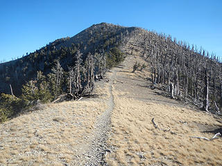 looking back up at griffith