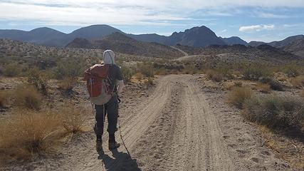desert road walking