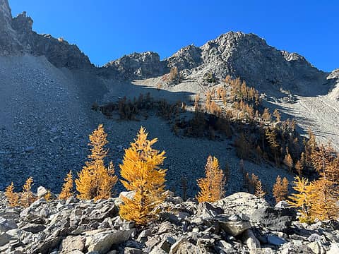 I liked the contrast of the golden larches against the dark talus slopes