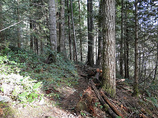 Trail to K falls.