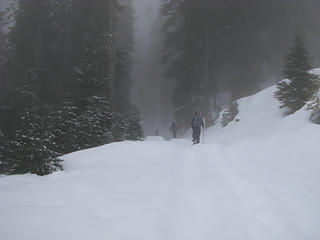 Snowshoeing along FR-6574...