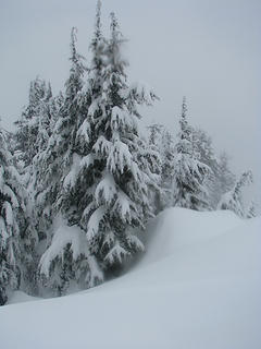 Wind blown ridge.