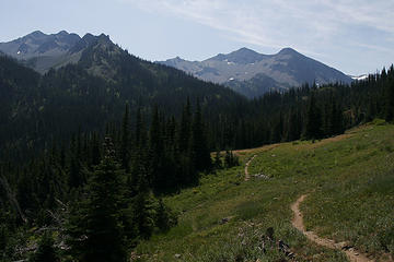 Meadows in the Grand Valley, Olympic National Park, Washington.