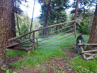 Another view of the gate on this historic stock driveway. The gate must be well over 50 years old.