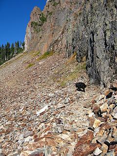 The path stays close to the cliffs of Sperry Peak