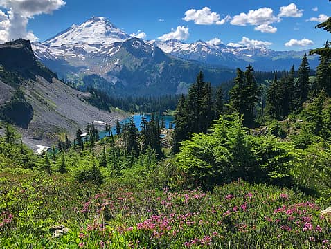 Mt. Baker from the Chain Lakes Loop