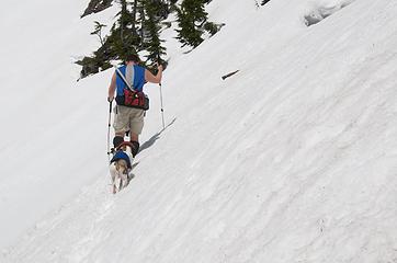 Whippets trailgating