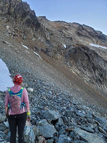 We went up the short gully just below that tiny spot of snow, and then traversed climbers left around the snow to gain the upper talus fields to Buckner