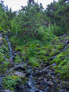 Gully I climbed up.  I went right.  Took the dry gully down...