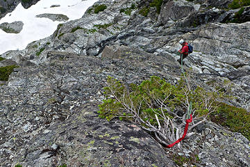 Rap 4 down the steep lower gully. Anchor is a small but fat and solid cedar