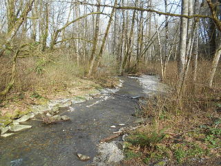 Swan Creek Park 022120 01