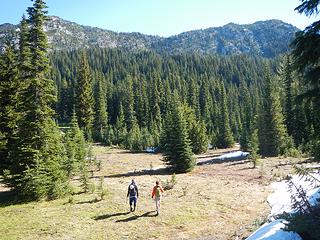 meadows down at the lower pass