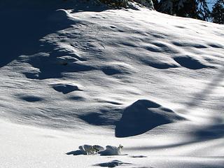 October Snowfield light play