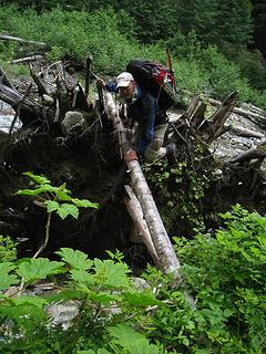 over the rootball and using the handrail