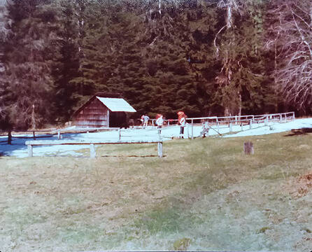 Hyak Shelter and Horse Enclosure Bogachiel River  April 1977 K. Tanner
