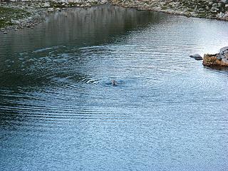 Swimming