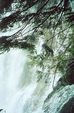 Overwhelmed by falling water.