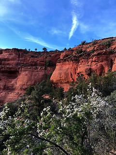 Doe Mountain Trail, Sedona 4/14/19