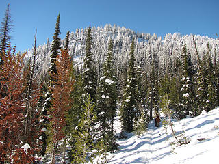 Snow, color and trail