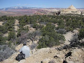 taking a break on the reef crest