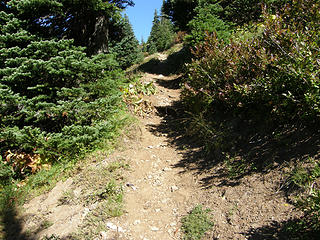 Final push to Shriner Peak Lookout.