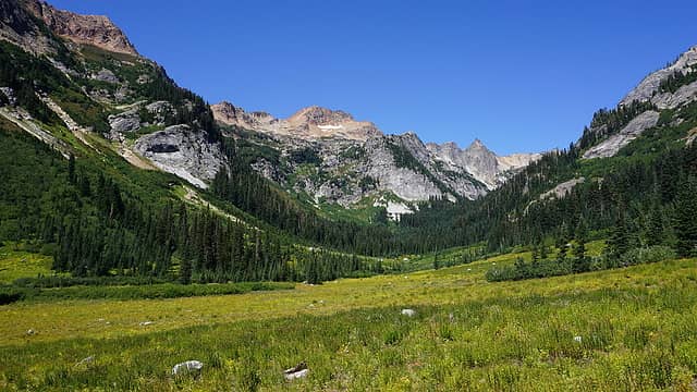 The Meadow