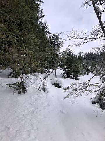 Finding the best snow was challenging after leaving the trail. I began in crampons. Snowshoes might have been a better way to start this route today.