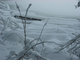 Snow laden salmonberry and lake