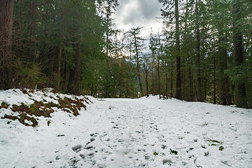 Olympic Hot Springs Road nearing trailhead for washout bypass trail