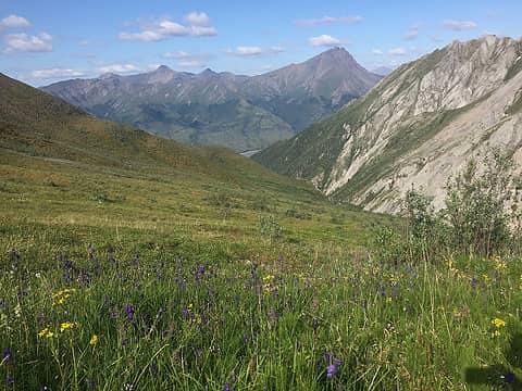 Getting into the alpine