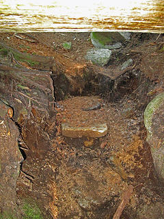 Dug out trail under huge blown down log