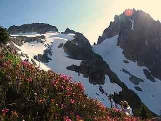 Hiking past heather above the pass