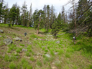 Higher up the Milton Mtn trail disappears but is mostly on open slopes.