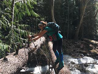 Twin Lakes Creek Crossing 5/3/19