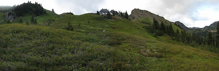 Taking the cross-country route down to the sheep trail