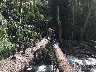 Twin Lakes Creek Crossing 5/3/19