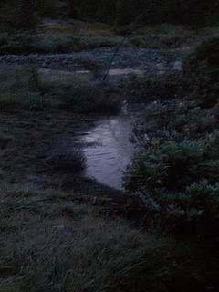 Ice on Leroy Creek
