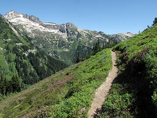 Flowers on the slopes of Liberty Cap