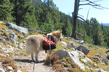 trail towards apex pass