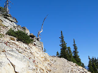 Odd snag as I am about to turn corner at high point before starting descent towards Granite Pass.