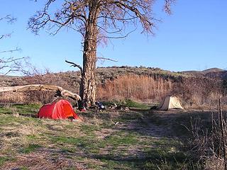 Campsite in early morning