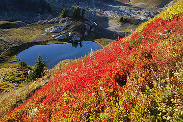 Hillside on fire