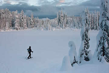 Walking in a winter wonderland