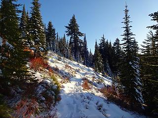 Heading back up to Freezeout Ridge. It's an almost 400' climb up from the 5620' saddle and trail low point.