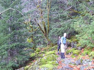 Autumn remains along Forgotten Trail