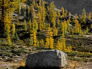 Granite and Gold